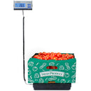 Detecto DR Series Shipping Scale - 150LB & 400LB Capacity